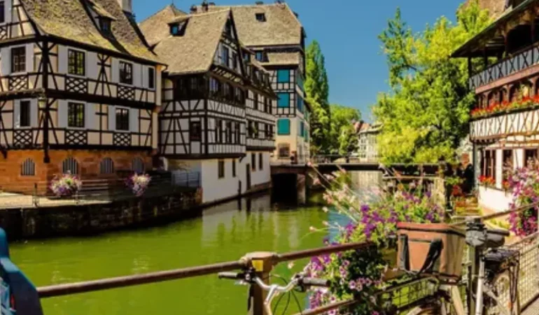 Alsace – VTT entre Vignes & Forêts