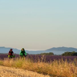 Le Tour du Verdon à Vélo