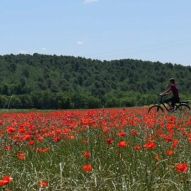 Le Tour du Luberon 7J6N