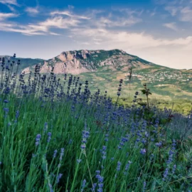 La Traversée de la Bourgogne - 2026 à vélo